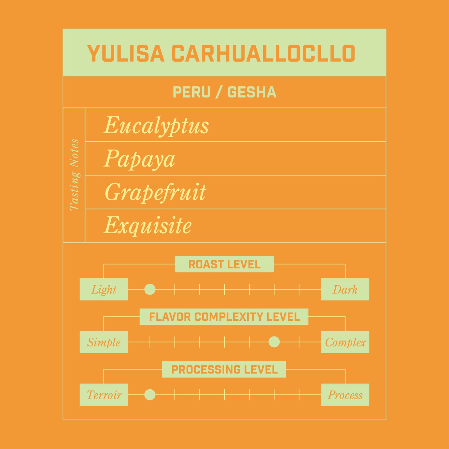 Yulisa Carhuallocllo Peru Gesha