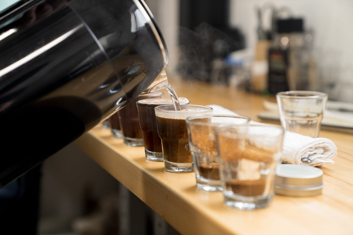 Our Coffee Process