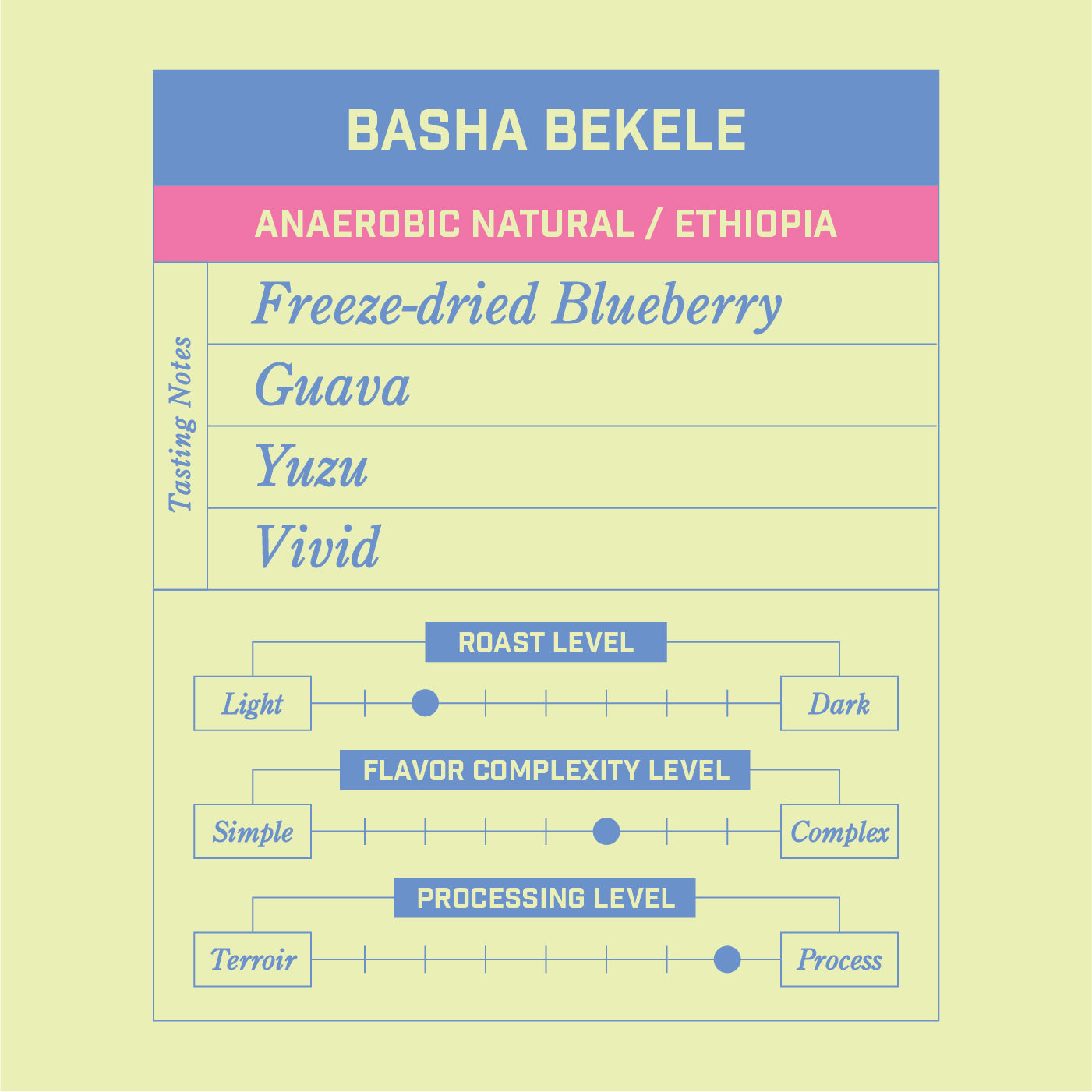 Basha Bekele Anaerobic Natural Ethiopia