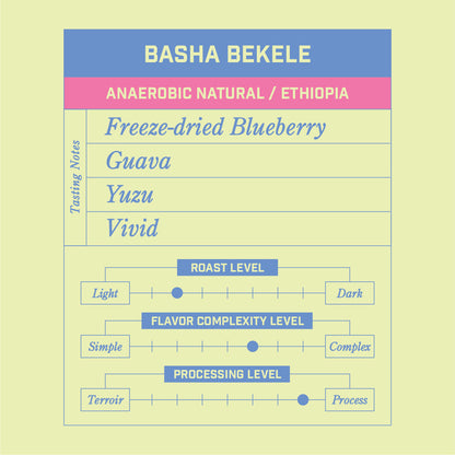 Basha Bekele Anaerobic Natural Ethiopia