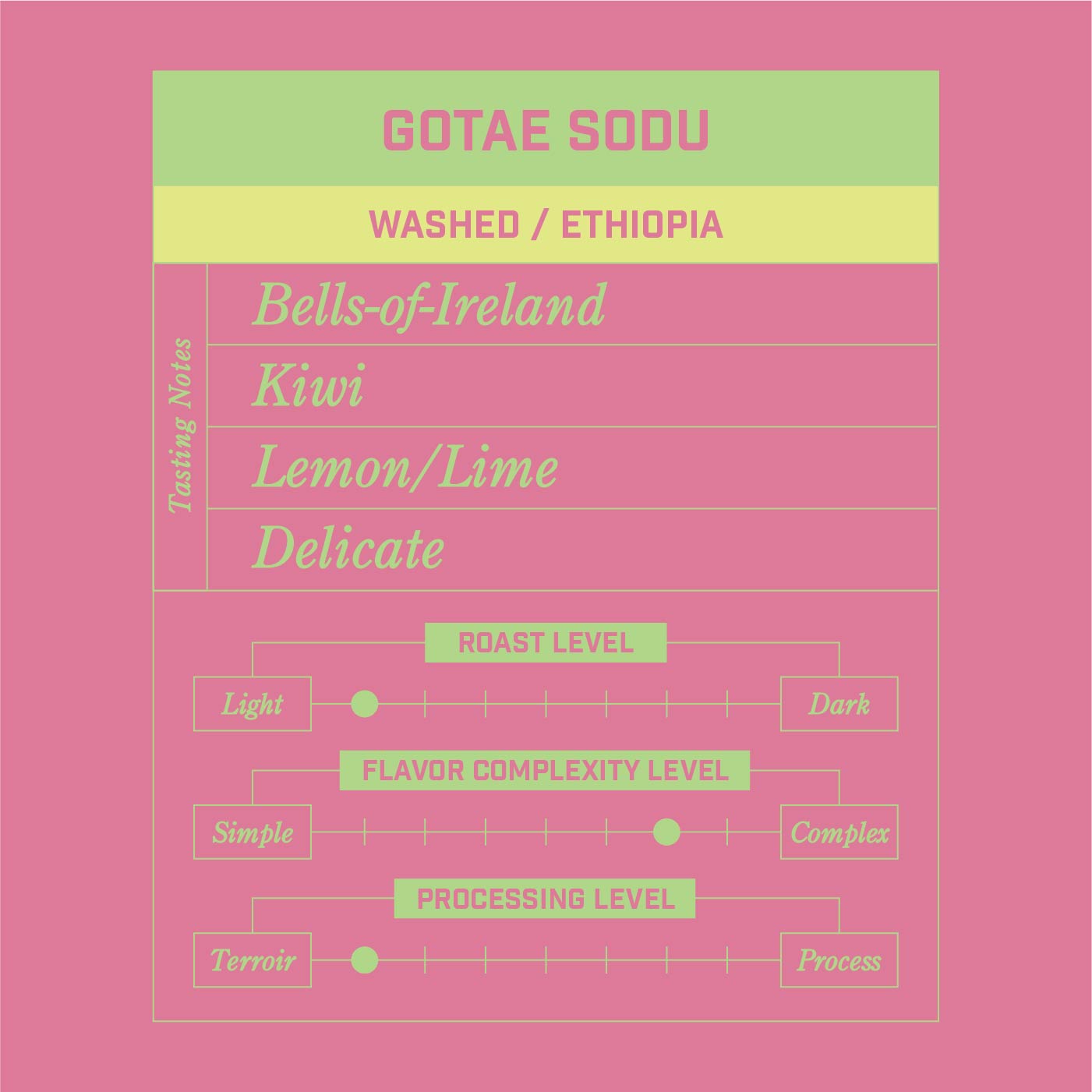 Gotae Sodu Washed Ethiopia
