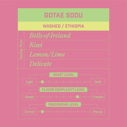 Gotae Sodu Washed Ethiopia