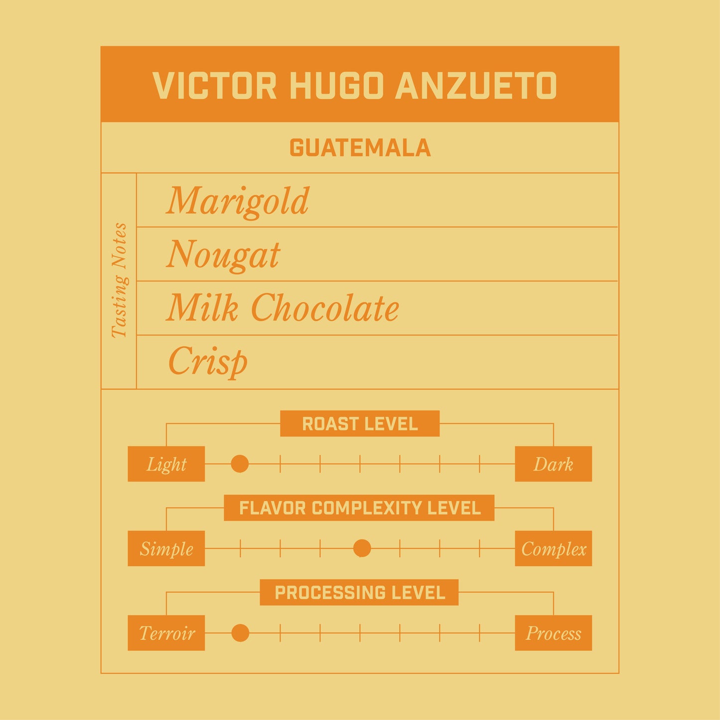 Victor Hugo Anzueto - Guatemala