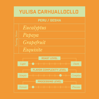 Yulisa Carhuallocllo Peru Gesha