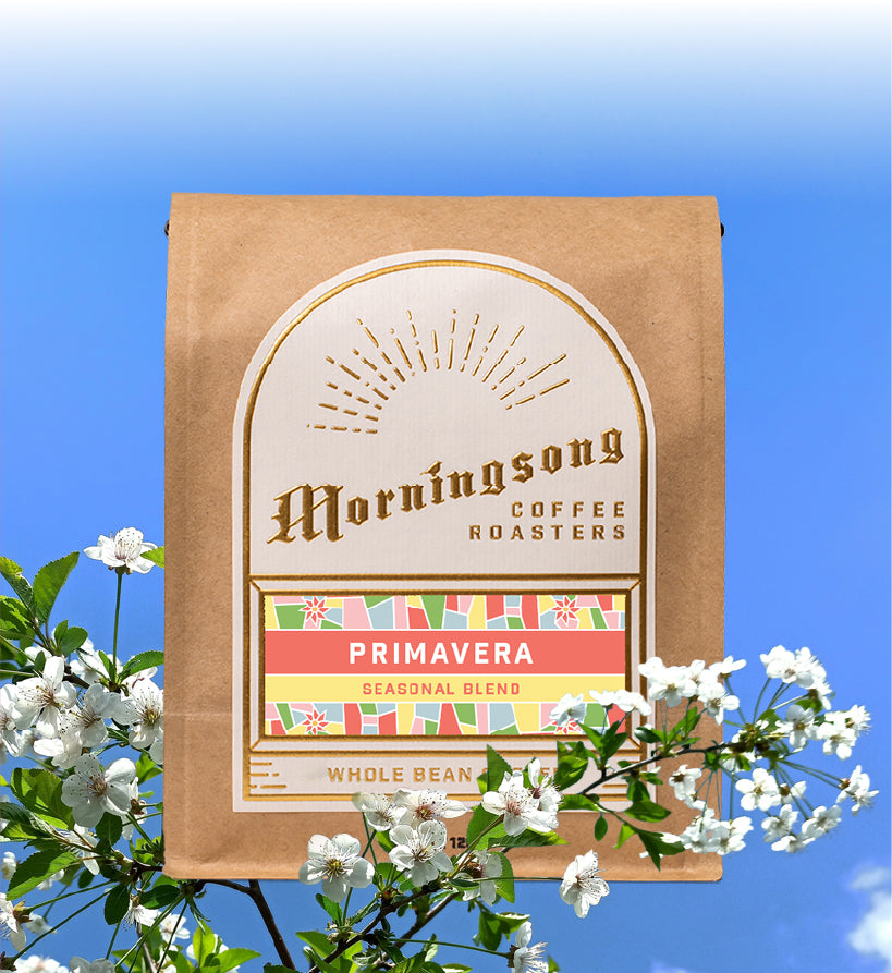 Morningsong Coffee Roasters
