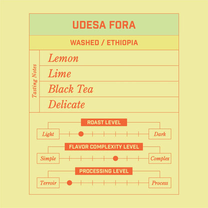 Udesa Fora Ethiopia